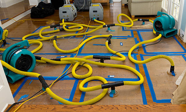 Professional Water Damage Restoration technician working in McEwen, TN